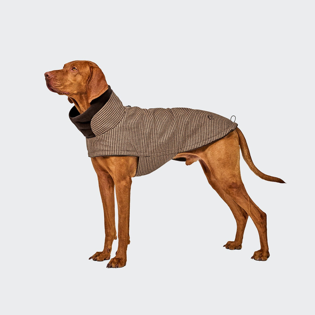 Cloud7 - Hondenjas Brooklyn Houndstooth