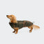 Cloud7 - Teckeljas Brooklyn Flanel Tartan Groen