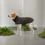 Cloud7 - Hondenjas Brooklyn Flanel Tartan Groen