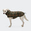 Cloud7 - Hondenjas Brooklyn Flanel Tartan Groen