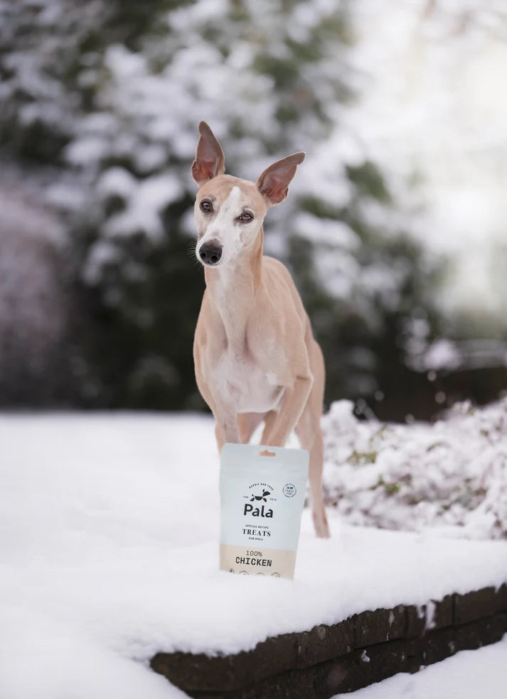 PALA - 100% Chicken dog treats