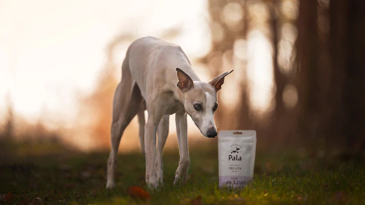 PALA - 100% Lamb Liver dog treats