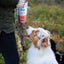 PALA - 100% Deer dog treats