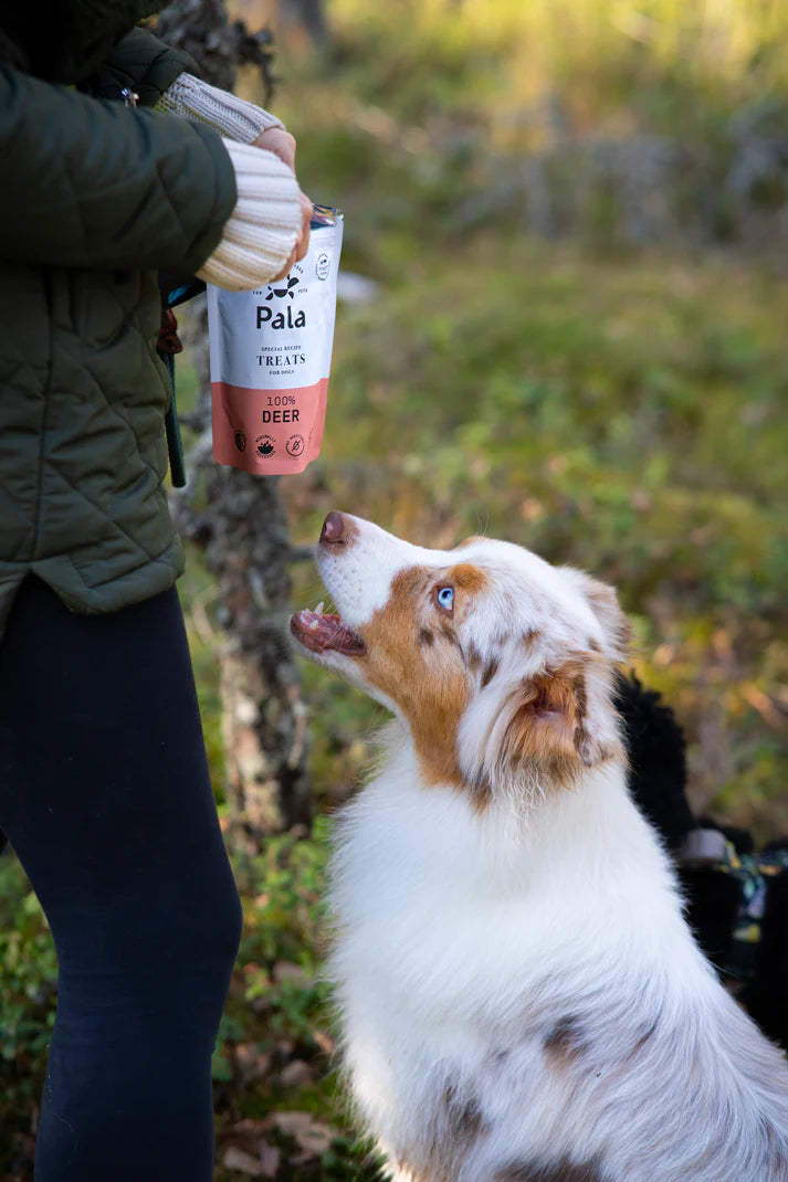 PALA - 100% Deer dog treats