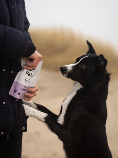 PALA - 100% Lamb dog treats