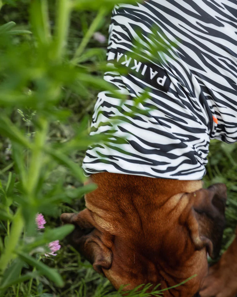 Paikka - UV & Bug Shirt