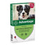 Advantage - Spot-On 4 Pipet Anti-Vlo Middel Voor Honden. 10-25Kg Apotheek