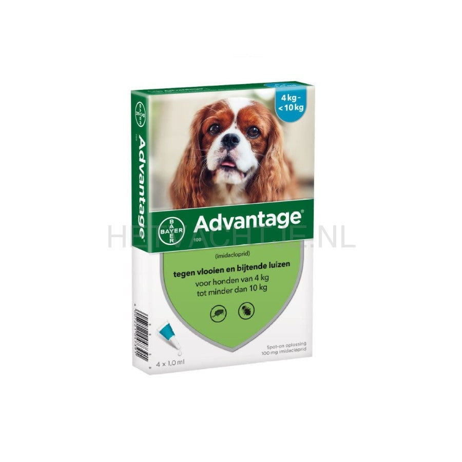 Advantage Spot-On 4 Pipet Anti-Vlo Middel Voor Honden. Apotheek