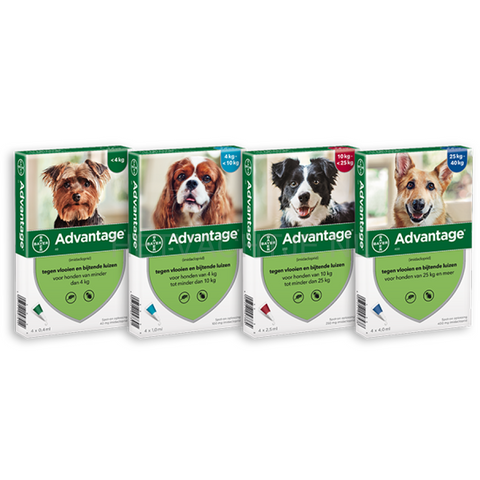 Advantage Spot-On 4 Pipet Anti-Vlo Middel Voor Honden. Apotheek