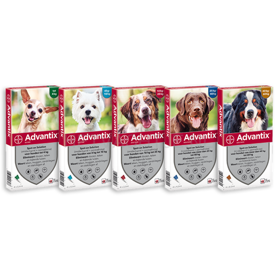 Advantix Spot-On 4 Pipet Anti Vlo & Teek Middel Voor Honden Apotheek