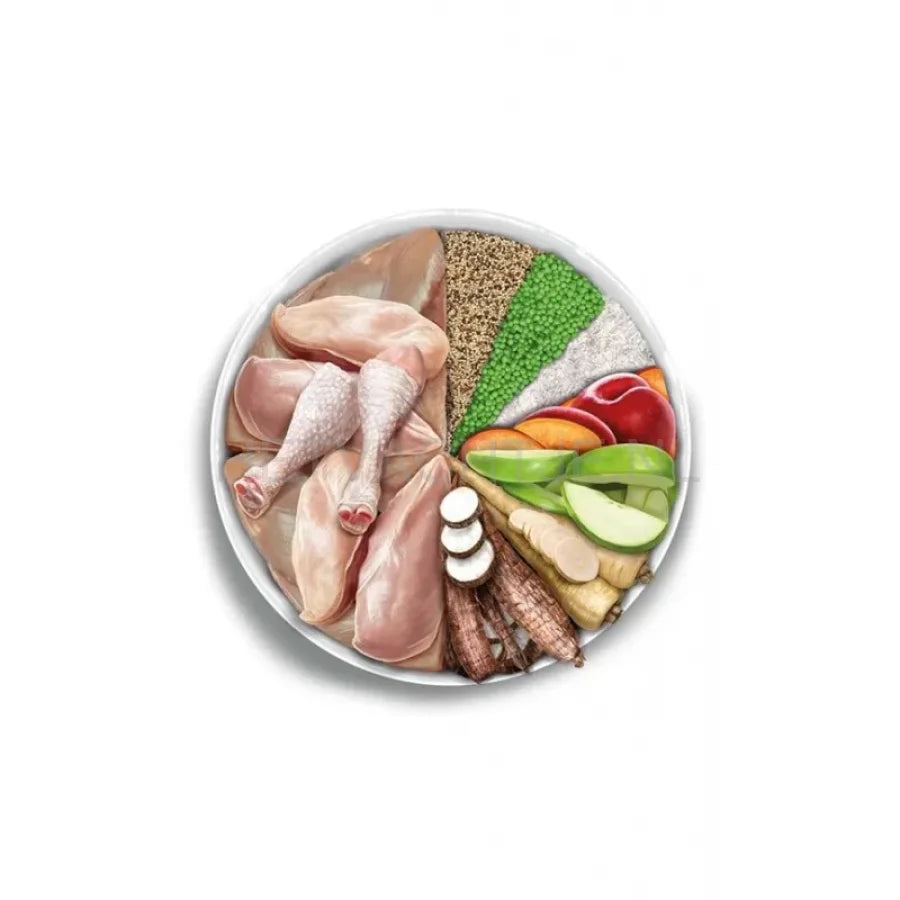 Amanova - Adult Large Exquisite Chicken