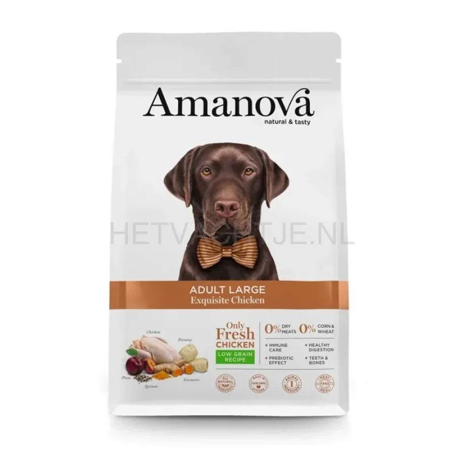 Amanova - Adult Large Exquisite Chicken