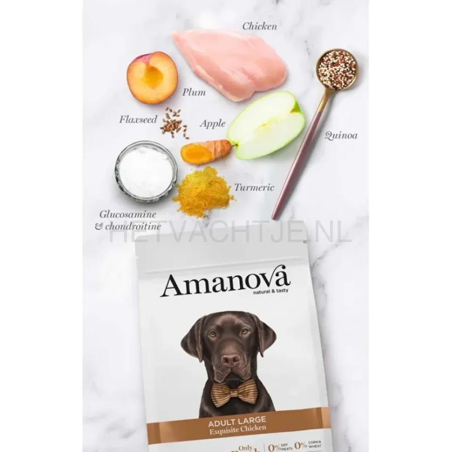 Amanova - Adult Large Exquisite Chicken