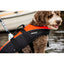 Baltic - Hondenzwemvest Mascot Oranje/Zwart
