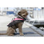 Baltic - Hondenzwemvest Mascot Roze/ Zwart