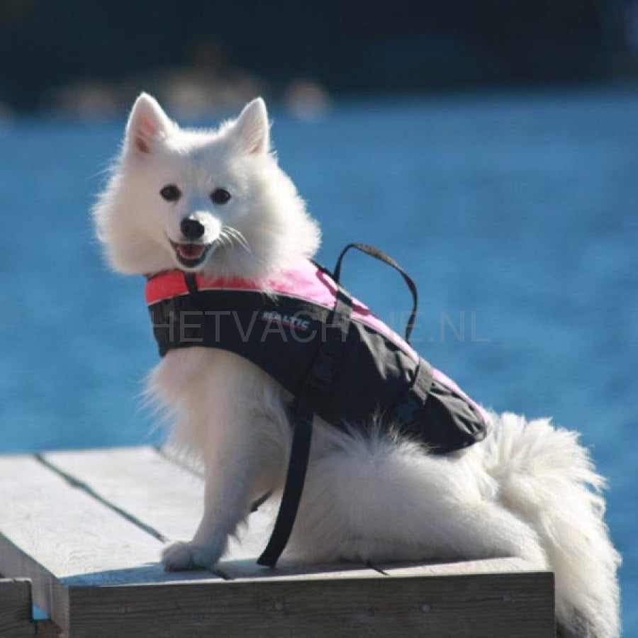Baltic - Hondenzwemvest Mascot Roze/ Zwart