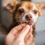 PALA - 100% Rabbit dog treats