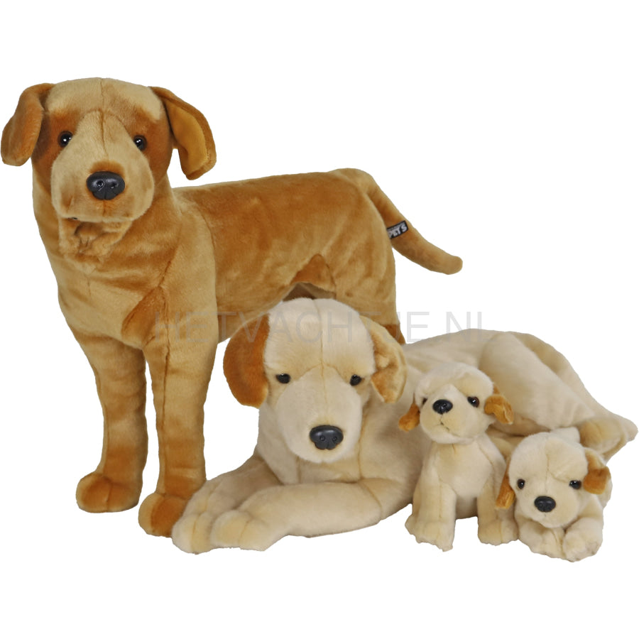 Boony - Natural Decoration Labrador Blond Pluche