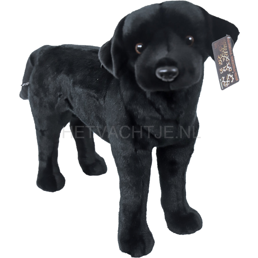 Boony - Natural Decoration Labrador Zwart Pluche Staand 53Cm