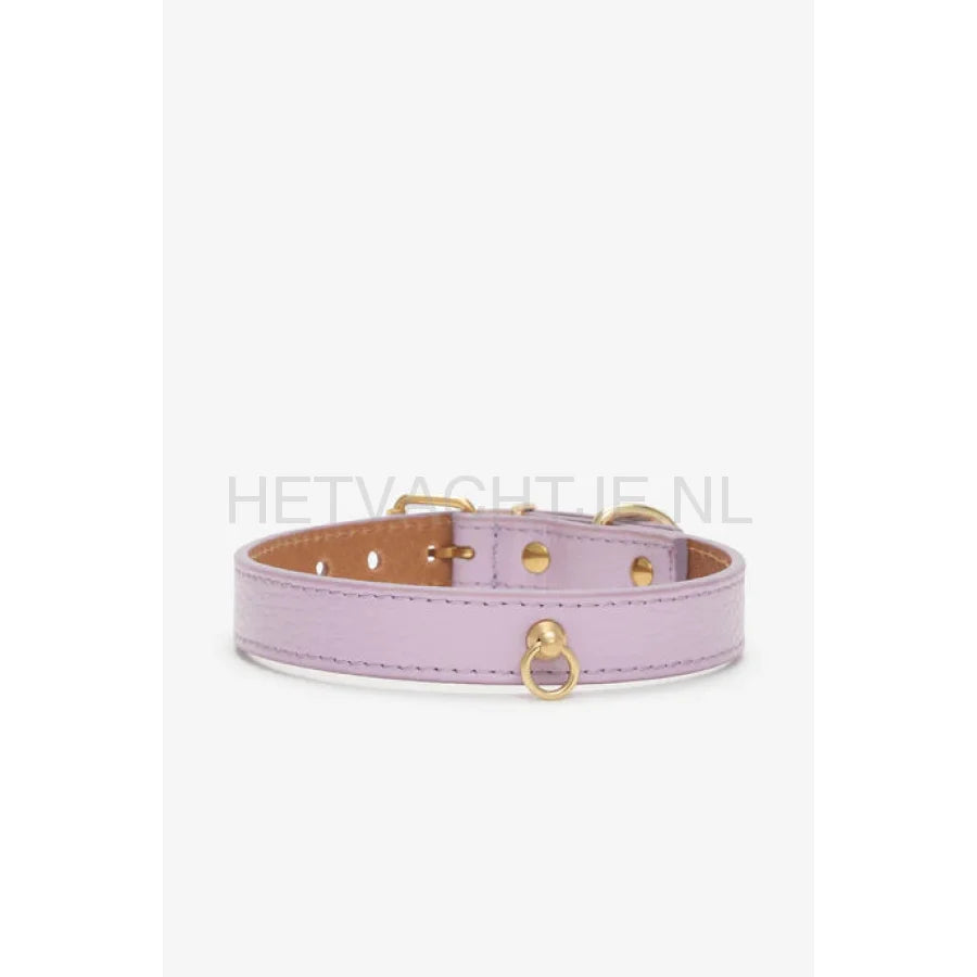 Brannipets - Lavender Juno Halsband