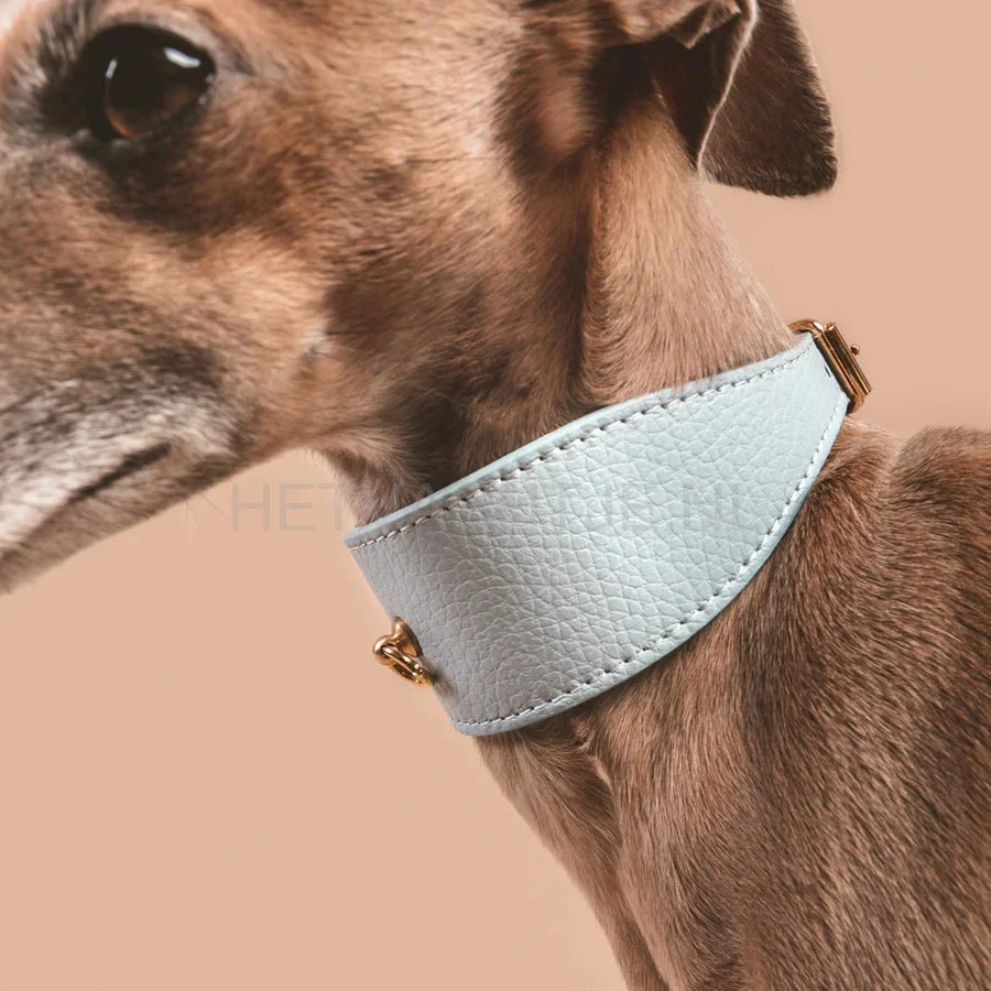 Brannipets - Sky Blue Juno Greyhound Halsband
