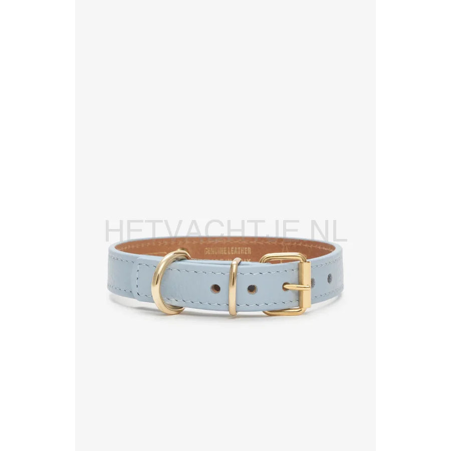 Brannipets - Sky Blue Juno Halsband