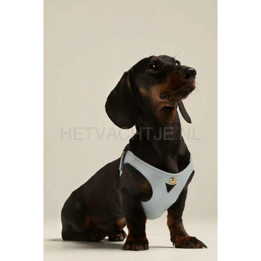 Brannipets - Sky Blue Juno Tuig