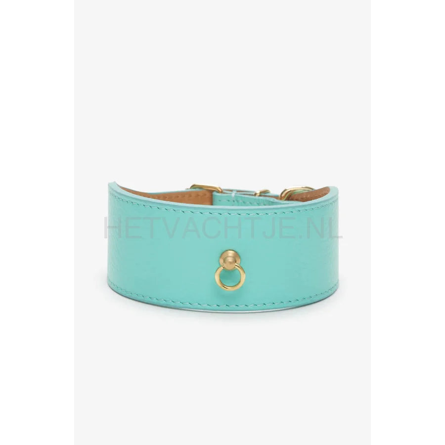 Brannipets - Turquoise Juno Greyhound Halsband