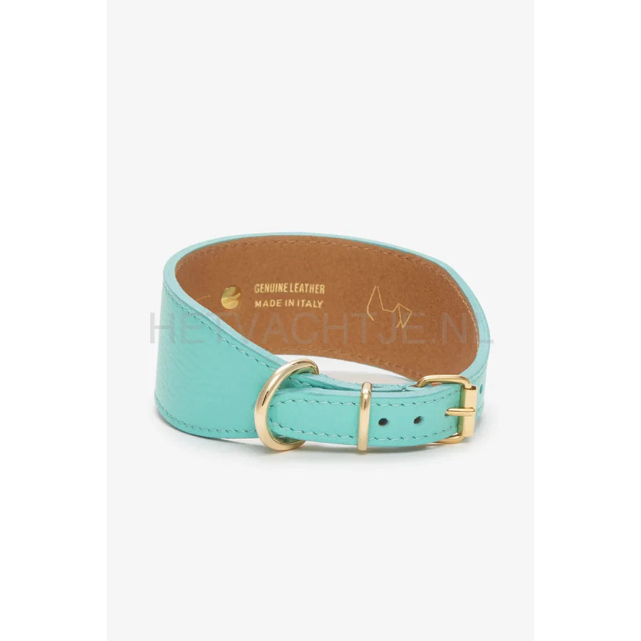 Brannipets - Turquoise Juno Greyhound Halsband