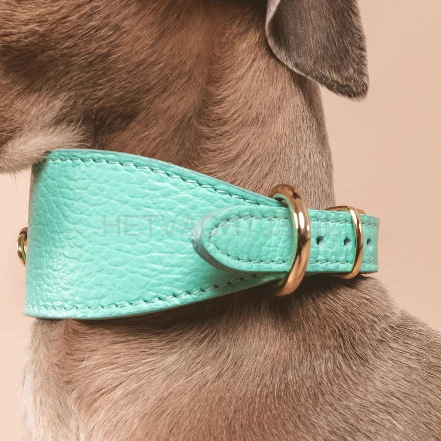Brannipets - Turquoise Juno Greyhound Halsband