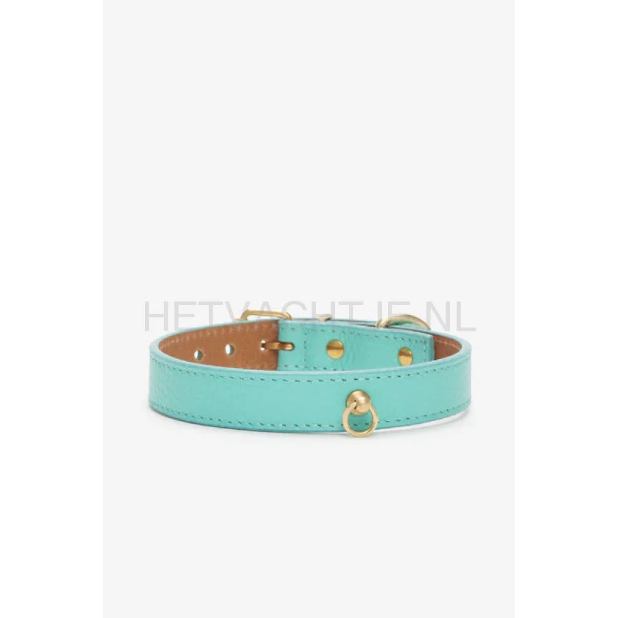 Brannipets - Turquoise Juno Halsband