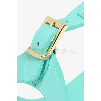 Brannipets - Turquoise Juno Tuig