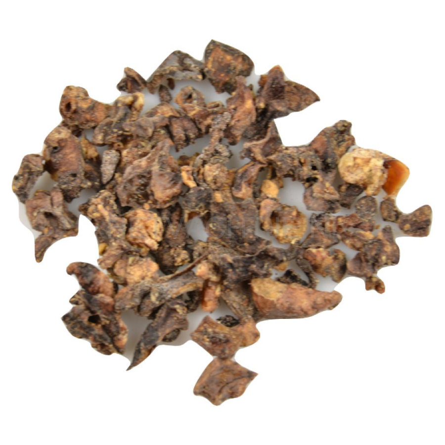 Carnis - Mini Trainer Lamlong