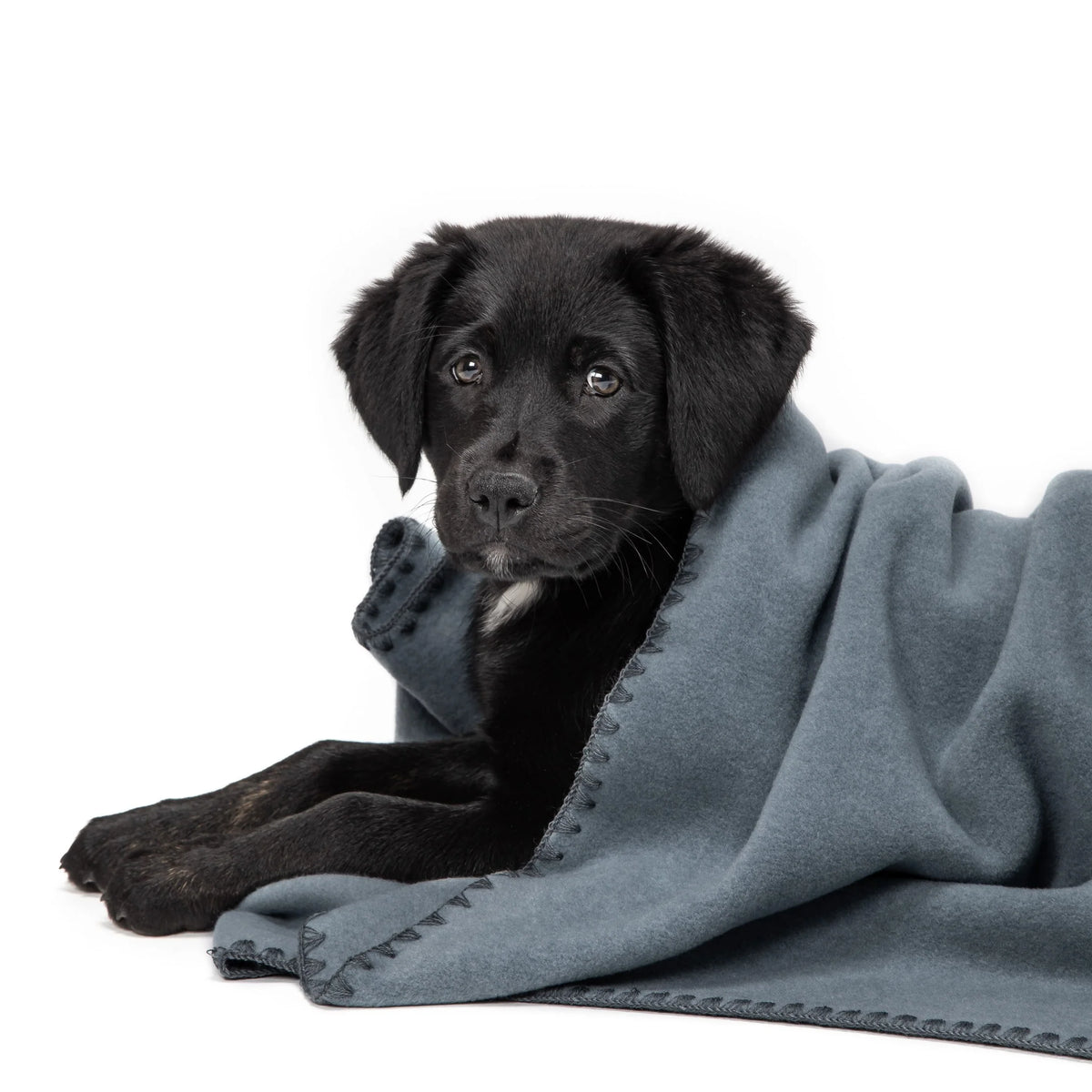 Cloud7 - Hondendeken Soft Fleece - Duifblauw