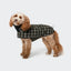 Cloud7 - Hondenjas Brooklyn Plaid Groen