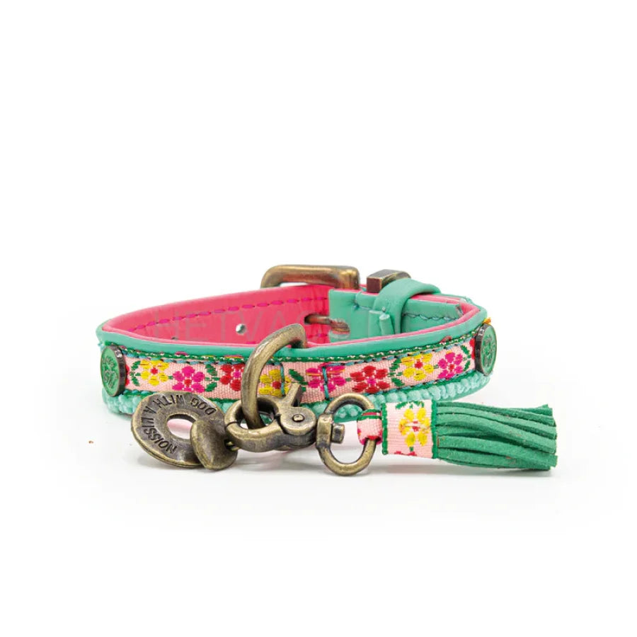 DWAM - Bella Mini Hond Halsband One size / Turqouise