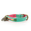 DWAM - Bella Mini Hond Halsband One size / Turqouise
