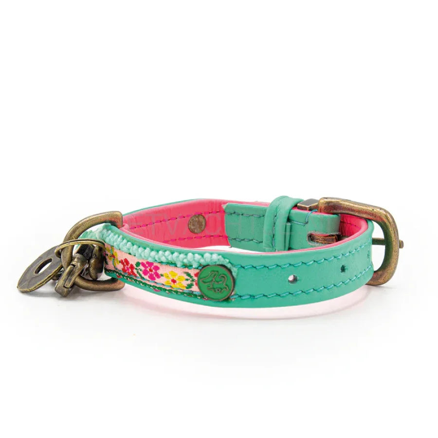 DWAM - Bella Mini Hond Halsband One size / Turqouise