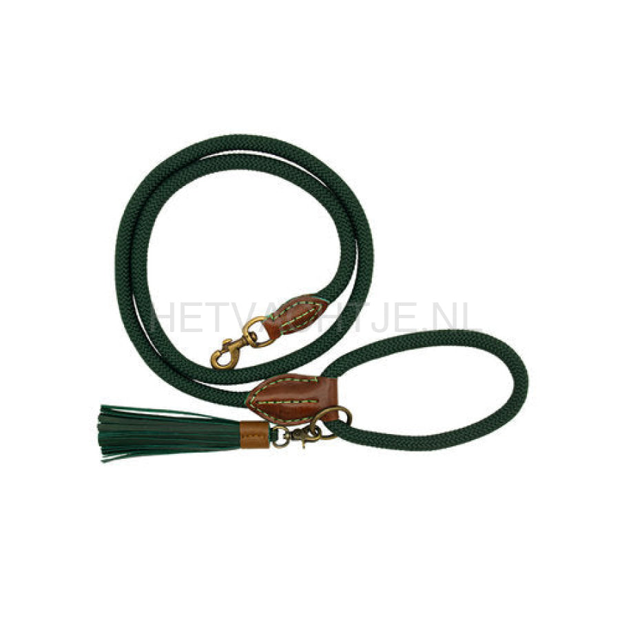 Dwam - Bowie Hondenlijn