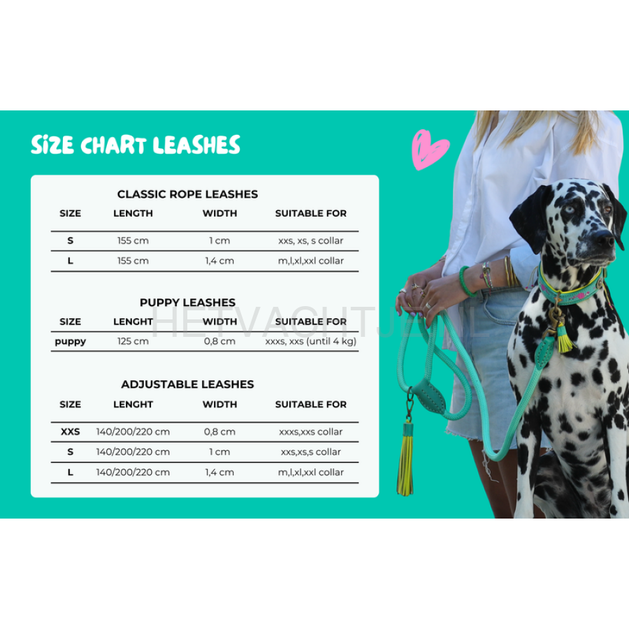 DWAM - Classic Buster Hondenlijn