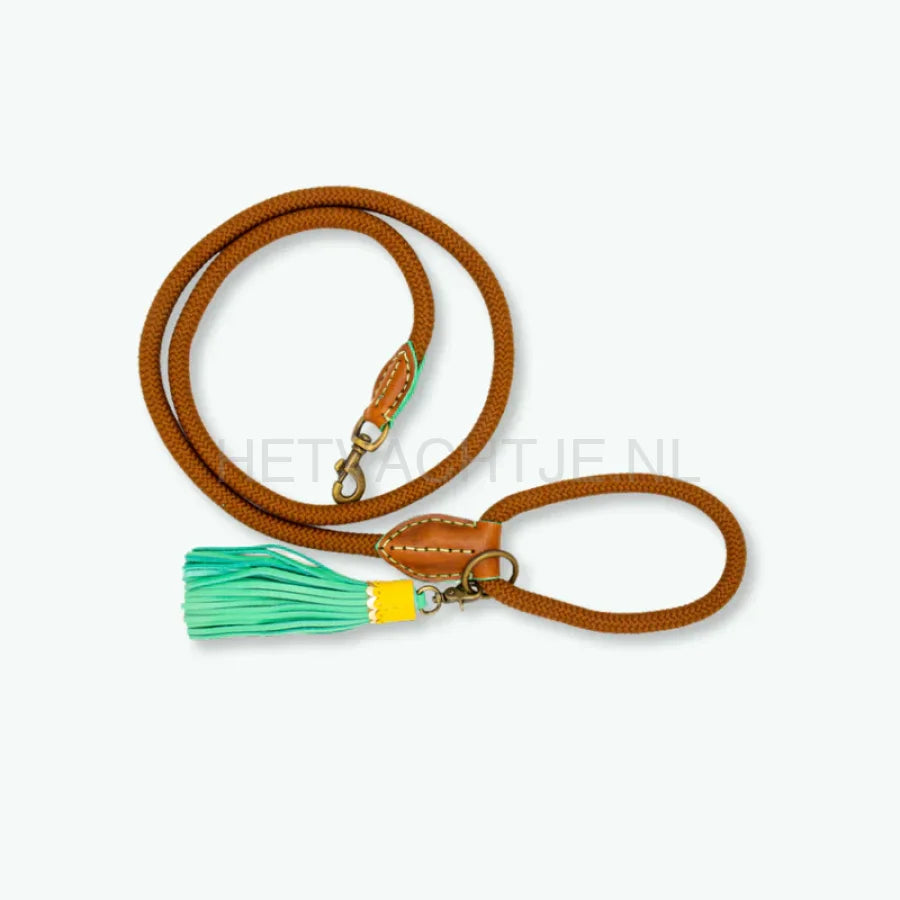 DWAM - Classic Rover Hondenlijn L (155CM X 1.4CM) / Bruin