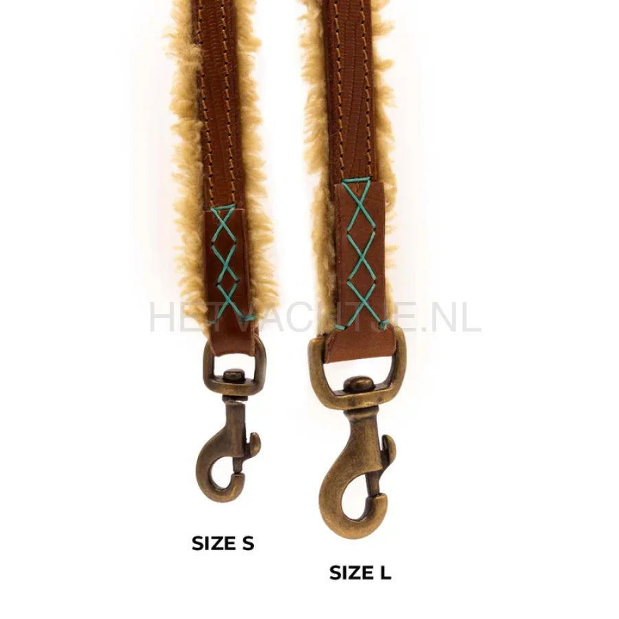 DWAM - Teddy Hondenlijn