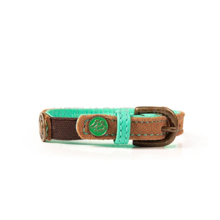 DWAM - Tommy Katten Halsband One size / Turqouise