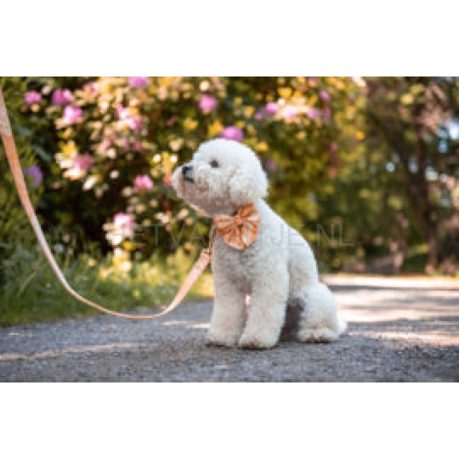 Floofs And Cookies - Velvy Marmeren Sailor Vlinder