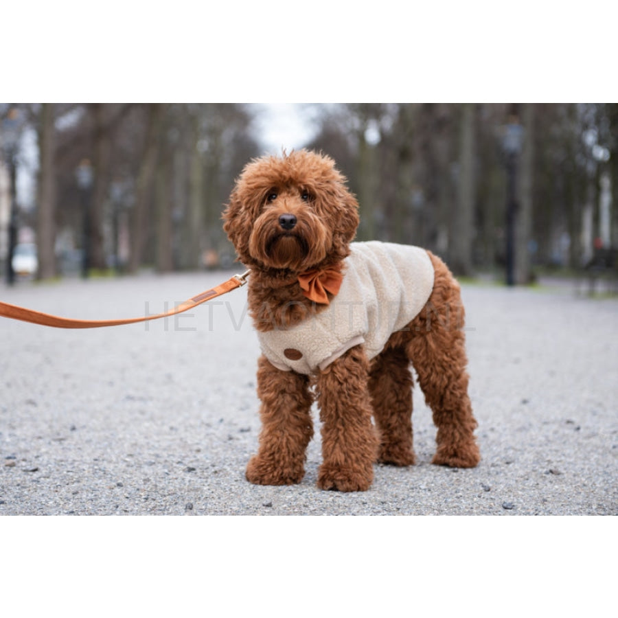 Floofs And Cookies - Walking Teddy Bear Beige