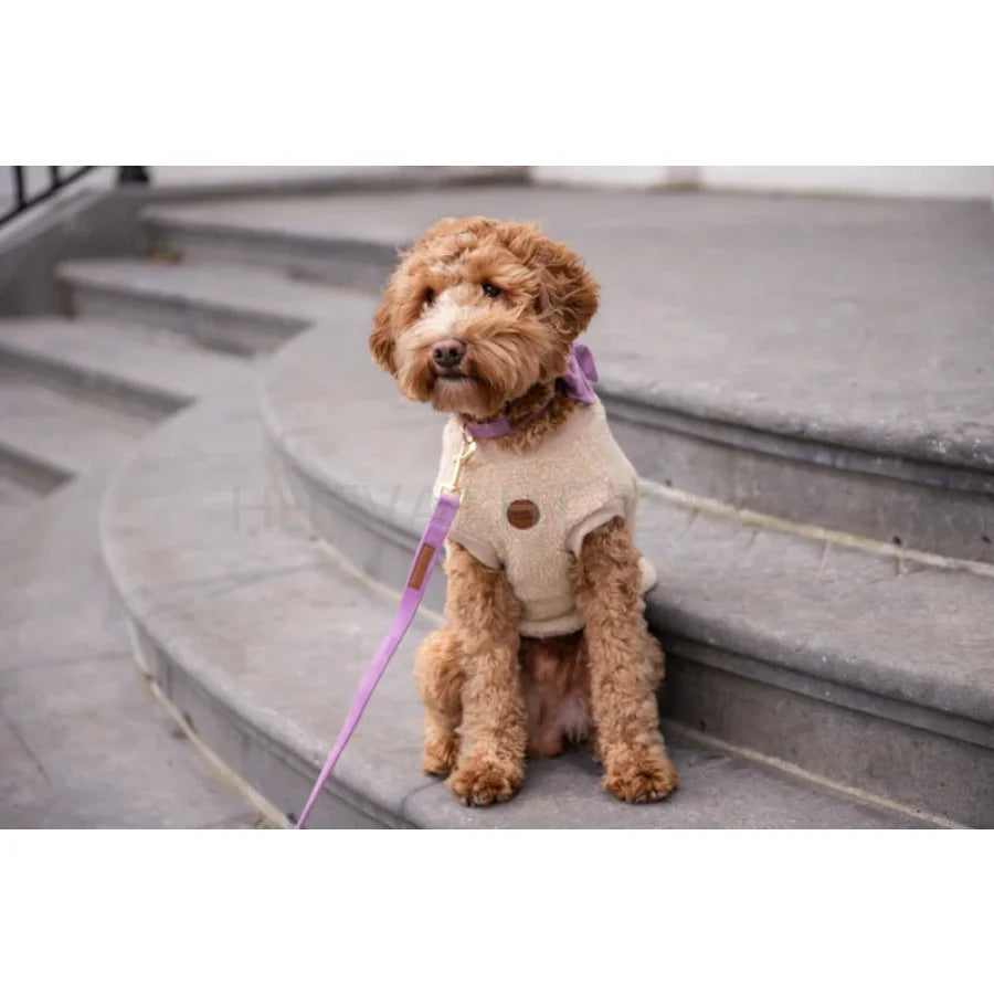 Floofs And Cookies - Walking Teddy Bear Beige