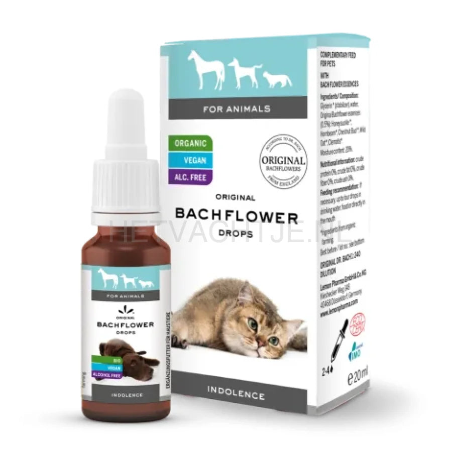 Frama - Bach Bloesem Lusteloosheid 20ml