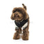 Fuzzyard - The Letterman Jacket Maat 1