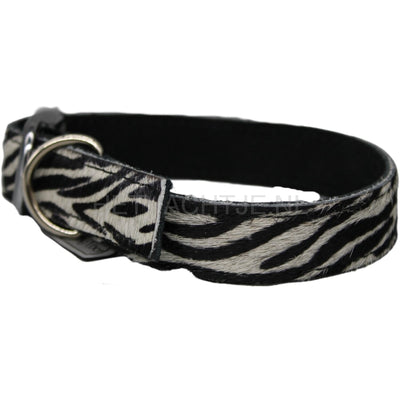 Holly Loo - Zebra Collar