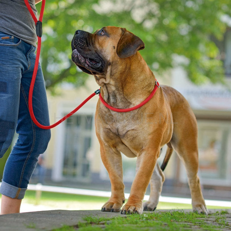 Hunter Freestyle Retriever Halsband & Riem 170Cm Voor Honden (Verschillende Kleuren) Hondenlijnen